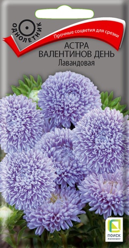 ПОИСК АСТРА (ОДНОЛЕТНЯЯ) ВАЛЕНТИНОВ ДЕНЬ ЛАВАНДОВАЯ (ЦВ)  0,2ГР