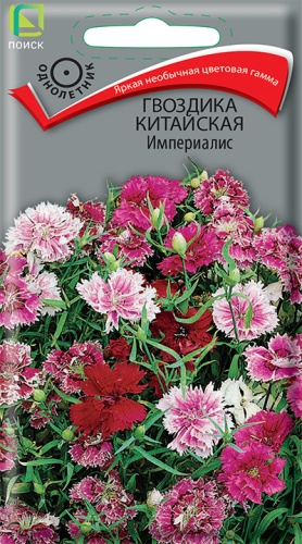 ПОИСК ГВОЗДИКА КИТАЙСКАЯ ИМПЕРИАЛИС (ЦВ) ("1) 0,3ГР