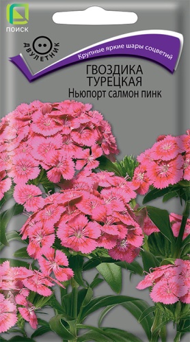 ПОИСК ГВОЗДИКА ТУРЕЦКАЯ НЬЮПОРТ САЛМОН ПИНК (ЦВ) ("2) 0,5ГР