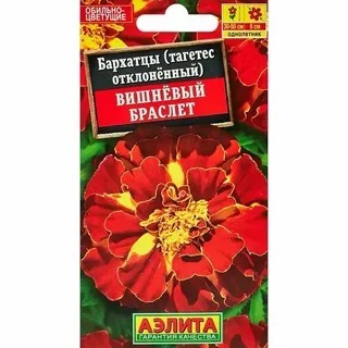 АЭЛИТА БАРХАТЦЫ ВИШНЕВЫЙ БРАСЛЕТ Ц/П 0,3 г