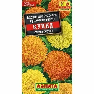 АЭЛИТА БАРХАТЦЫ КУПИД ХРИЗАНТЕМОВИДНЫЕ, СМЕСЬ СОРТОВ Ц/П 0,1 г