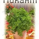 АЭЛИТА СЕЛЬДЕРЕЙ ЛИСТОВОЙ ПИКАНТ Ц/П 0,5 г