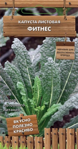 ПОИСК КАПУСТА ЛИСТОВАЯ ФИТНЕС (СЕР.ДЕКОРАТИВНЫЙ ОГОРОД) (А) (ЦВ) 0,1Г