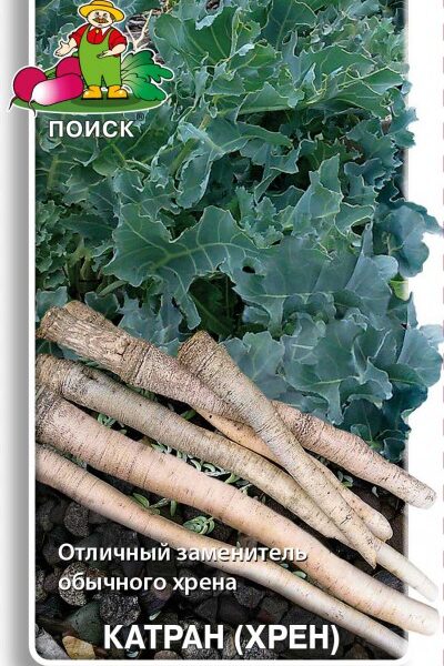 ПОИСК КАТРАН (ХРЕН) АККОРД (ЦВ) 0,3 гр