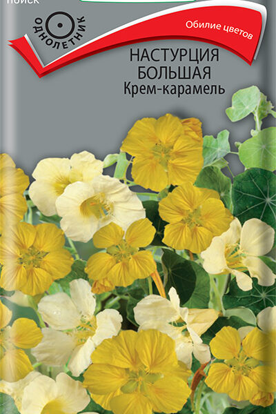 ПОИСК НАСТУРЦИЯ КРЕМ-КАРАМЕЛЬ БОЛЬШАЯ 1Г