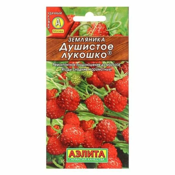 АЭЛИТА ЗЕМЛЯНИКА ДУШИСТОЕ ЛУКОШКО Ц/П 0,04ГР