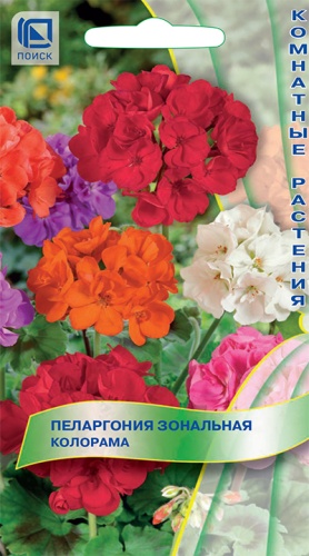 ПОИСК ПЕЛАРГОНИЯ ЗОНАЛЬНАЯ КОЛОРАМА (ЦВ) ("К) 0,05ГР