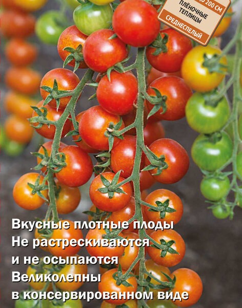 ПОИСК ТОМАТ БАХЧИСАРАЙ F1 (А) (ЦВ) 12ШТ