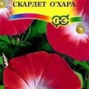 ГАВРИШ ИПОМЕЯ СКАРЛЕТ О ХАРА 0,5Г