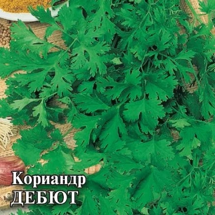 ГАВРИШ ФЕРМЕРСКАЯ КОРИАНДР ДЕБЮТ 25 Г