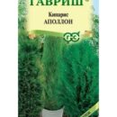 ГАВРИШ КИПАРИС АПОЛЛОН ВЕЧНОЗЕЛЕНЫЙ 0,1ГР.