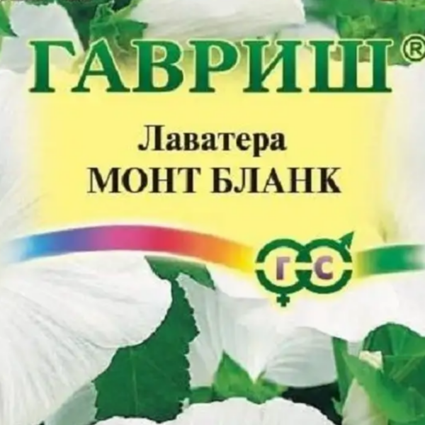 ГАВРИШ ЛАВАТЕРА МОНТ БЛАНК 0,5Г