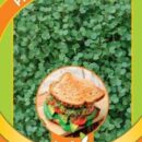 ГАВРИШ МИКРОЗЕЛЕНЬ РУКОЛА МИКС 2,5 Г СЕРИЯ BIO GREENS