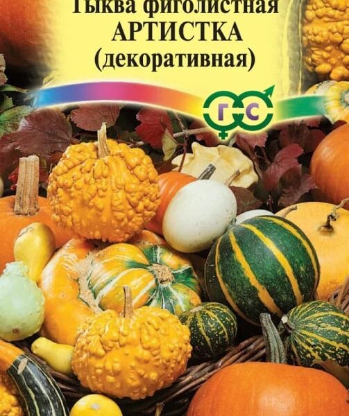 ГАВРИШ ТЫКВА АРТИСТКА, СМЕСЬ 0,5 Г