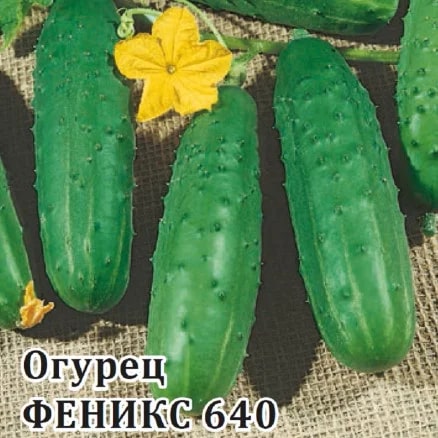 ГАВРИШ ФЕРМЕРСКАЯ ОГУРЕЦ ФЕНИКС 640 25 ГР