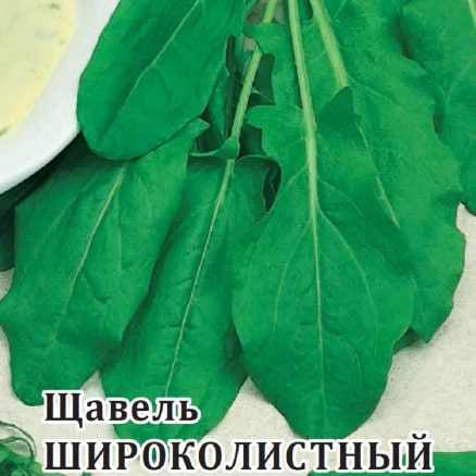 ГАВРИШ ФЕРМЕРСКАЯ ЩАВЕЛЬ ШИРОКОЛИСТНЫЙ 50 ГР !!!