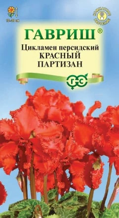 ГАВРИШ ЦИКЛАМЕН ПЕРСИДСКИЙ КРАСНЫЙ ПАРТИЗАН 3ШТ