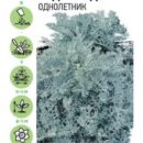 ГАВРИШ ЦИНЕРАРИЯ АНДРОМЕДА (ПРИМОРСКАЯ)* 0,05 Г УД.С.