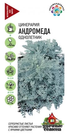 ГАВРИШ ЦИНЕРАРИЯ АНДРОМЕДА (ПРИМОРСКАЯ)* 0,05 Г УД.С.