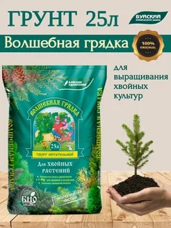ГРУНТ БУЙ ВОЛШЕБНАЯ ГРЯДКА ДЛЯ ХВОЙНЫХ 25Л