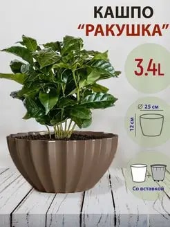 КАШПО РАКУШКА 3,4Л МОККО С ВСТАВКОЙ /8ШТ/ДТ