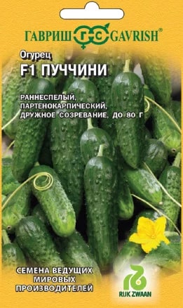 ОГУРЕЦ ПУЧИНИ F1 50ГР /РИЙК ЦВААН
