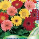 ПОИСК ГЕРБЕРА ДЖЕМСОНА ГИБРИД СМЕСЬ ОКРАСОК (ЦВ) 10ШТ.