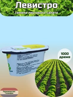 САЛАТ ЛЕВИСТРО 1000 С/РИЙК ЦВААН
