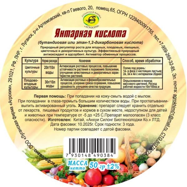 ЯНТАРНАЯ КИСЛОТА 50ГР/100/