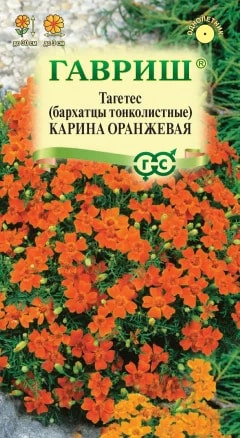ГАВРИШ БАРХАТЦЫ КАРИНА ОРАНЖЕВАЯ 0,05Г