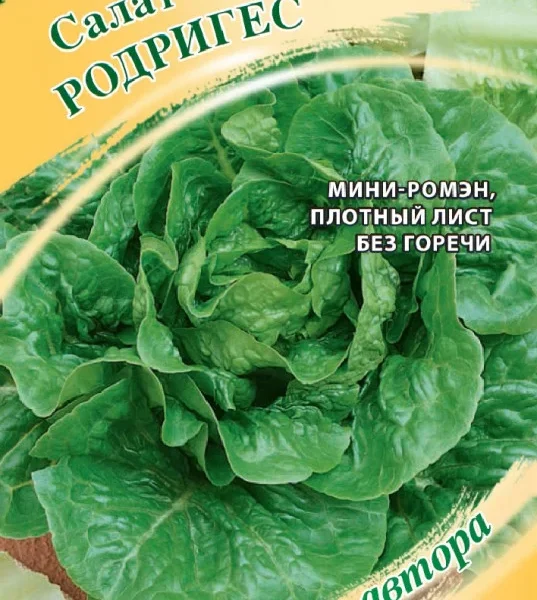 ГАВРИШ САЛАТ РОДРИГЕС 0,5 Г РОМЭН, АВТОР.