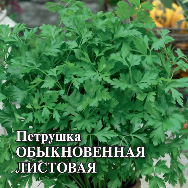 ГАВРИШ ФЕРМЕРСКАЯ ПЕТРУШКА ЛИСТОВАЯ ОБЫКНОВЕННАЯ 50,0 Г