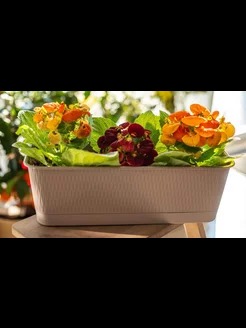 БАЛКОННЫЙ ЯЩИК 40СМ ПРОВАНС 6Л ФРАППЕ С ПОД. 5PL0341 /10ШТ/ТП