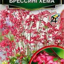 АЭЛИТА ГЕЙХЕРА ГИБРИДНАЯ БРЕССИНГХЕМА Ц/П 0,05 г