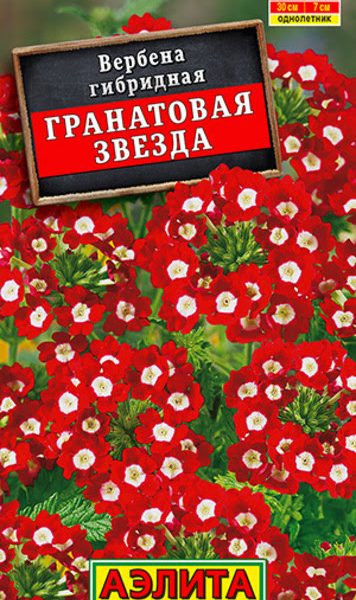 АЭЛИТА ВЕРБЕНА ГРАНАТОВАЯ ЗВЕЗДА Ц/П 30 шт