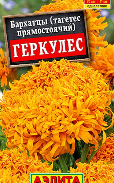 АЭЛИТА БАРХАТЦЫ ГЕРКУЛЕС ПРЯМОСТОЯЧИЕ Ц/П 0,1 г
