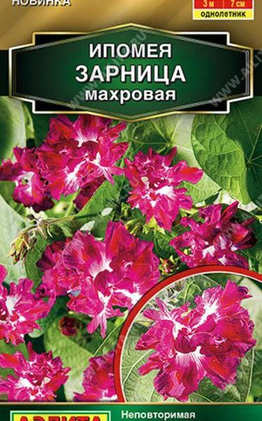 АЭЛИТА ИПОМЕЯ ЗАРНИЦА МАХРОВАЯ Ц/П 7 шт