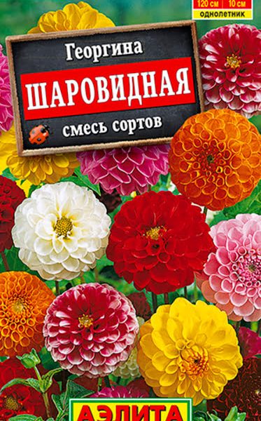 АЭЛИТА ГЕОРГИНА ШАРОВИДНАЯ, СМЕСЬ СОРТОВ Ц/П 0,2 г