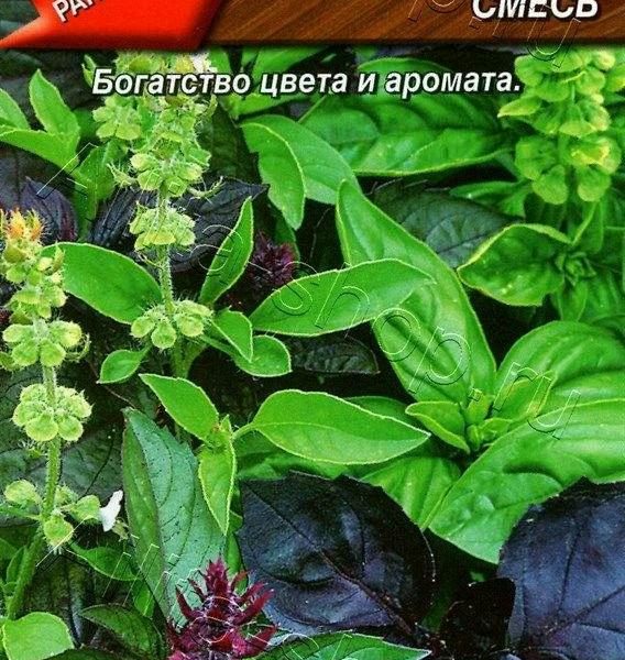 АЭЛИТА БАЗИЛИК ОВОЩНОЙ ВОСТОЧНЫЙ БАЗАР, СМЕСЬ Ц/П 0,3 г