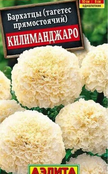 АЭЛИТА БАРХАТЦЫ КИЛИМАНДЖАРО ПРЯМОСТОЯЧИЕ Ц/П 0,05 г