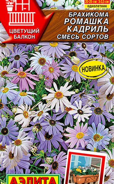 АЭЛИТА БРАХИКОМА РОМАШКА КАДРИЛЬ, СМЕСЬ СОРТОВ Ц/П 0,1 г