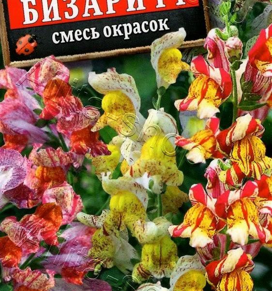 АЭЛИТА ЛЬВИНЫЙ ЗЕВ БИЗАРИ F1, СМЕСЬ СОРТОВ Ц/П 0,1 г