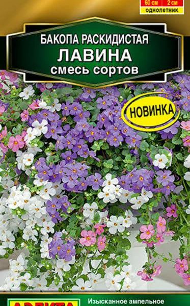АЭЛИТА БАКОПА РАСКИДИСТАЯ ЛАВИНА, СМЕСЬ СОРТОВ Ц/П 3 шт