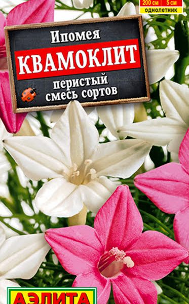 АЭЛИТА ИПОМЕЯ КВАМОКЛИТ, СМЕСЬ СОРТОВ Ц/П 0,5 г