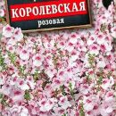 АЭЛИТА ДИАСЦИЯ КОРОЛЕВСКАЯ РОЗОВАЯ Ц/П 20 шт