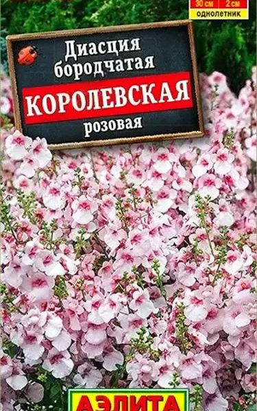 АЭЛИТА ДИАСЦИЯ КОРОЛЕВСКАЯ РОЗОВАЯ Ц/П 20 шт