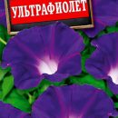 АЭЛИТА ИПОМЕЯ УЛЬТРАФИОЛЕТ Ц/П 8 шт