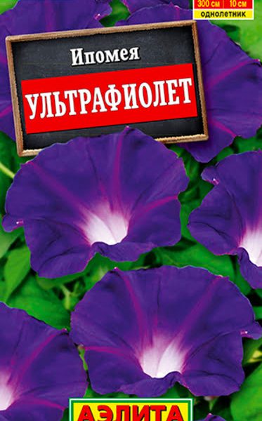 АЭЛИТА ИПОМЕЯ УЛЬТРАФИОЛЕТ Ц/П 8 шт