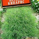 АЭЛИТА КОХИЯ ЛЕТНИЙ КИПАРИС Ц/П 0,3 г