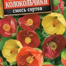 АЭЛИТА АБУТИЛОН КОМНАТНЫЕ КОЛОКОЛЬЧИКИ, СМЕСЬ СОРТОВ Ц/П 15 шт